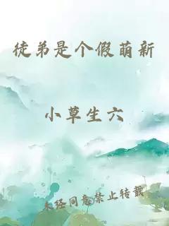 徒弟是个假萌新
